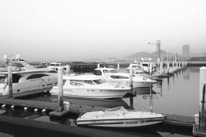 游艇突然加速跑,大连码头告急