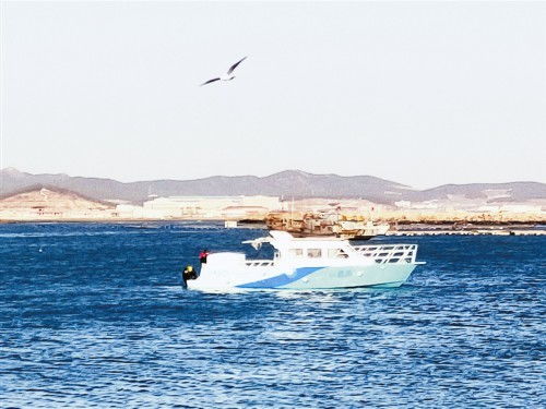 我国首艘燃料电池游艇 蠡湖 号通过试航