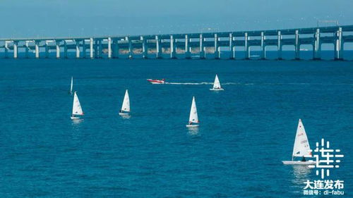 三季度，大连跑出“加速度” 游艇产业扬帆起航