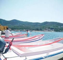 2017大连旅顺钓鱼节今日盛大启幕，央视明星助阵引领大连游艇热潮