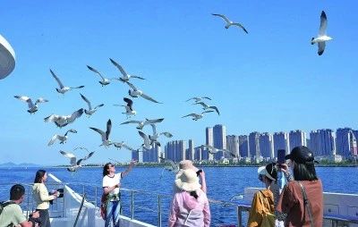 乘风破浪，逐梦蔚蓝 大连游艇生活全览