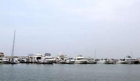 乘风破浪，扬帆起航 第四届大连国际游艇展盛大开幕