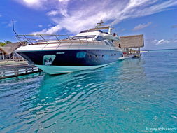 阿尔滨集团老总坐拥顶级游艇，展现大连游艇产业新高度